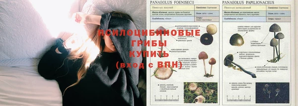 кокс Зеленокумск