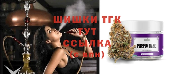 прущие грибы Алексин