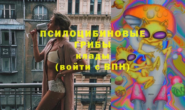 прущие грибы Алексин