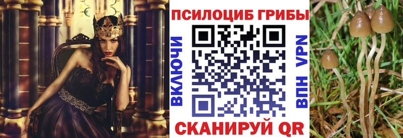 Псилоцибиновые грибы MAGIC MUSHROOMS  OMG маркетплейс  Бикин 